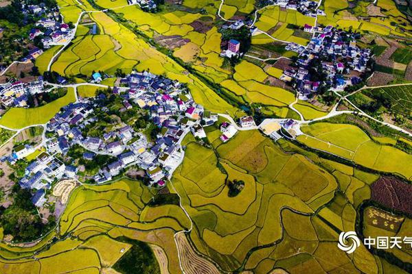 🐤🎍全集资源免费看到嗨🥧☪️用力🤣